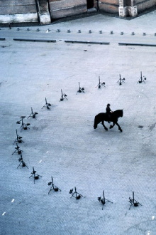 Equestrian Trailer