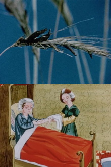 Ergot: The Story of a Parasitic Fungus Trailer