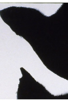 Errata Trailer