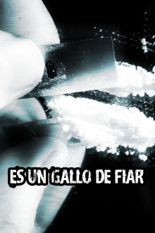 Es un gallo de fiar Trailer