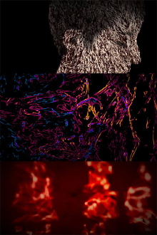 esa misteriosa luz Trailer