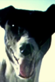 Escape Velocity Trailer