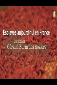 Esclaves aujourd'hui en France Trailer