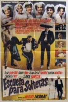 Escuela para solteras Trailer