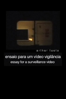 Essay for a Surveillance Video Trailer