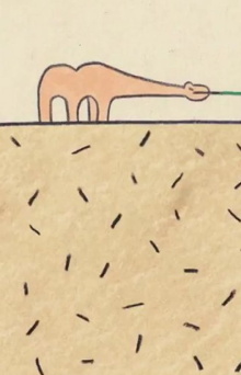 Essay in the Desert Trailer