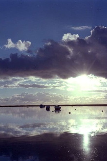 Estuary Trailer