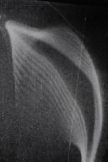 Études des solides illusoires Trailer