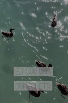 Eu Sou uma Borboleta Trailer