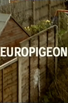 Europigeon Trailer