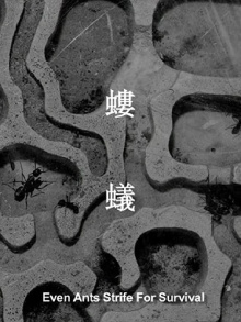 Even Ants Strive for Survival Trailer