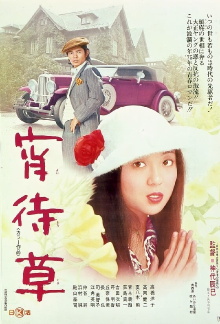Evening Primrose Trailer
