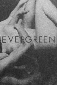Evergreen Trailer