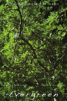 Evergreen Trailer