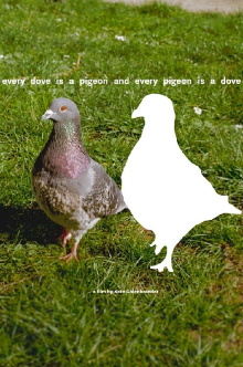 every dove is a pigeon and every pigeon is a dove Trailer