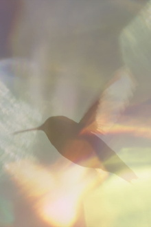 Every Little Thing Trailer
