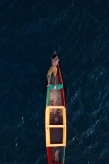 Everything And Nothing Trailer