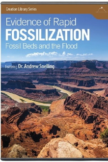 Evidence of Rapid Fossilization Trailer