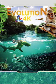 Evolution 4K Trailer