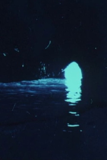 Excursion à la Grotte d’Azur Trailer