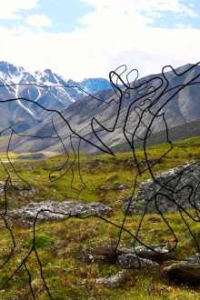 Exercises in Being Close to You: A Story for the Arctic Refuge Trailer