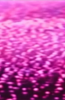 Exotourisme Trailer