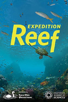 Expedition Reef Trailer