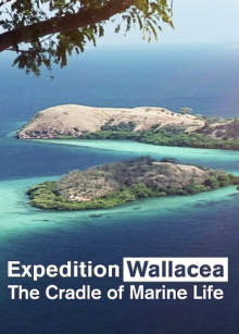 Expedition Wallacea – The Cradle of Marine Life Trailer