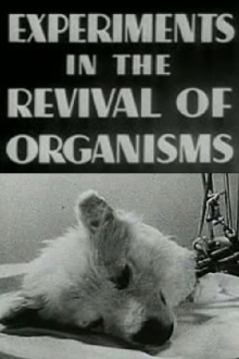 Experiments in the Revival of Organisms Trailer