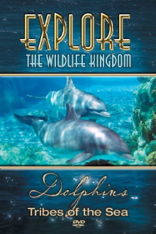 Explore the Wildlife Kingdom: Dolphins - Tribes of the Sea Trailer
