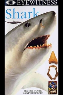 Eyewitness: Shark Trailer