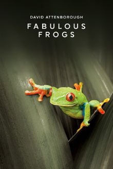 Fabulous Frogs Trailer