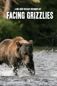 Facing Grizzlies Trailer