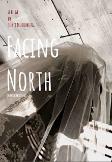 Facing North Trailer