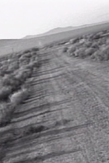 Facts on the Polywave Trailer