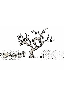 Fairies Inside A Tumbling Balloon Trailer