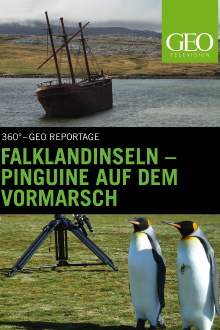 Falklandinseln : Pinguine auf dem Vormarsch Trailer