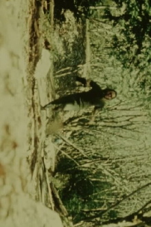 Fall Creek Trailer