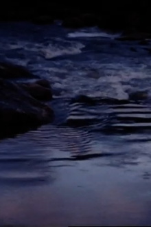 Falling Water Trailer