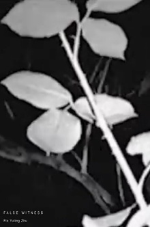False Witness Trailer