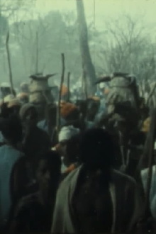 Fanado Trailer