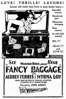 Fancy Baggage Trailer
