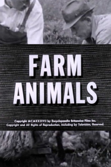 Farm Animals Trailer