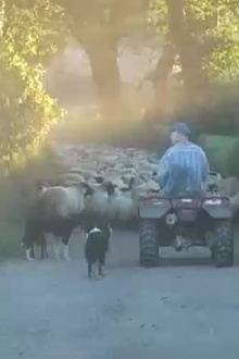 Farm Film Trailer