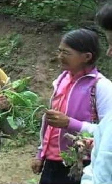 Farmácia Verde do Sertão Trailer