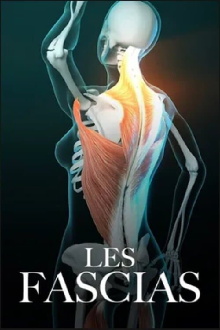 Fascinating Fasciae: The Hidden World Under Our Skin Trailer