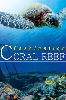 Fascination Coral Reef Trailer