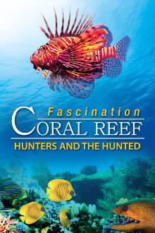 Fascination Coral Reef: Hunters and the Hunted Trailer