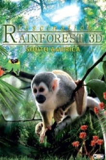 Fascination Rainforest 3D Trailer