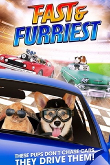 Fast and Furriest Trailer